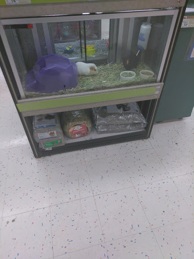 Pet Supply Store «Petco Animal Supplies», reviews and photos, 6015 Stage Rd, Bartlett, TN 38134, USA