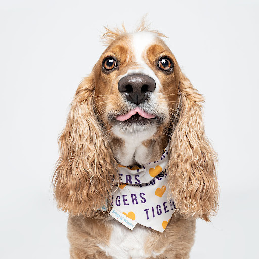 Briggs 'n' Wiggles ®