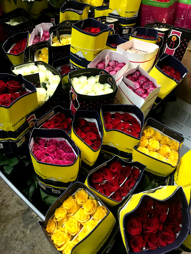 Florist «Floreria Alcatraz», reviews and photos, 159 Aldine Bender Rd #174, Houston, TX 77060, USA