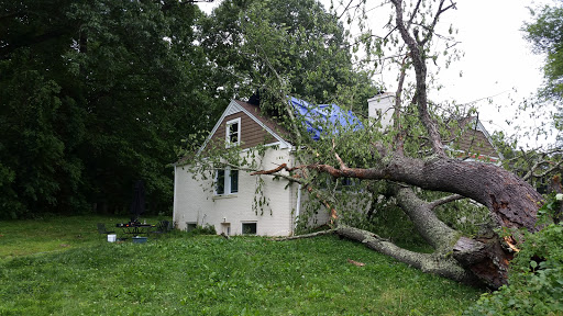 Insurance Agency «Dottrio, LLC - Public Adjusters - Insurance Appraisers», reviews and photos