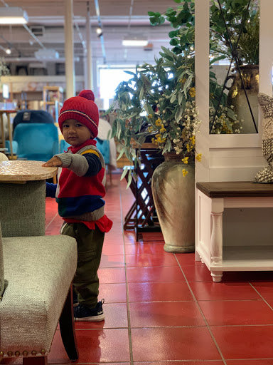 Home Goods Store «Pier 1 Imports», reviews and photos, 801 Horsham Rd, Montgomeryville, PA 18936, USA