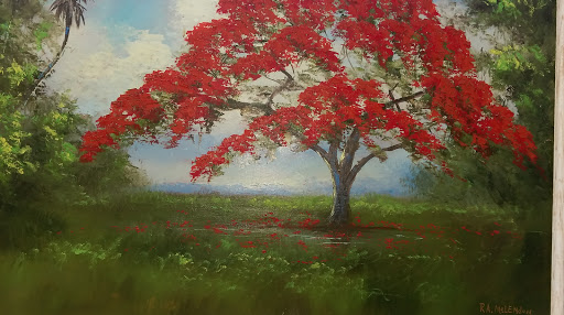 Nature Preserve «Grassy Waters Preserve», reviews and photos, 8264 Northlake Blvd, West Palm Beach, FL 33412, USA