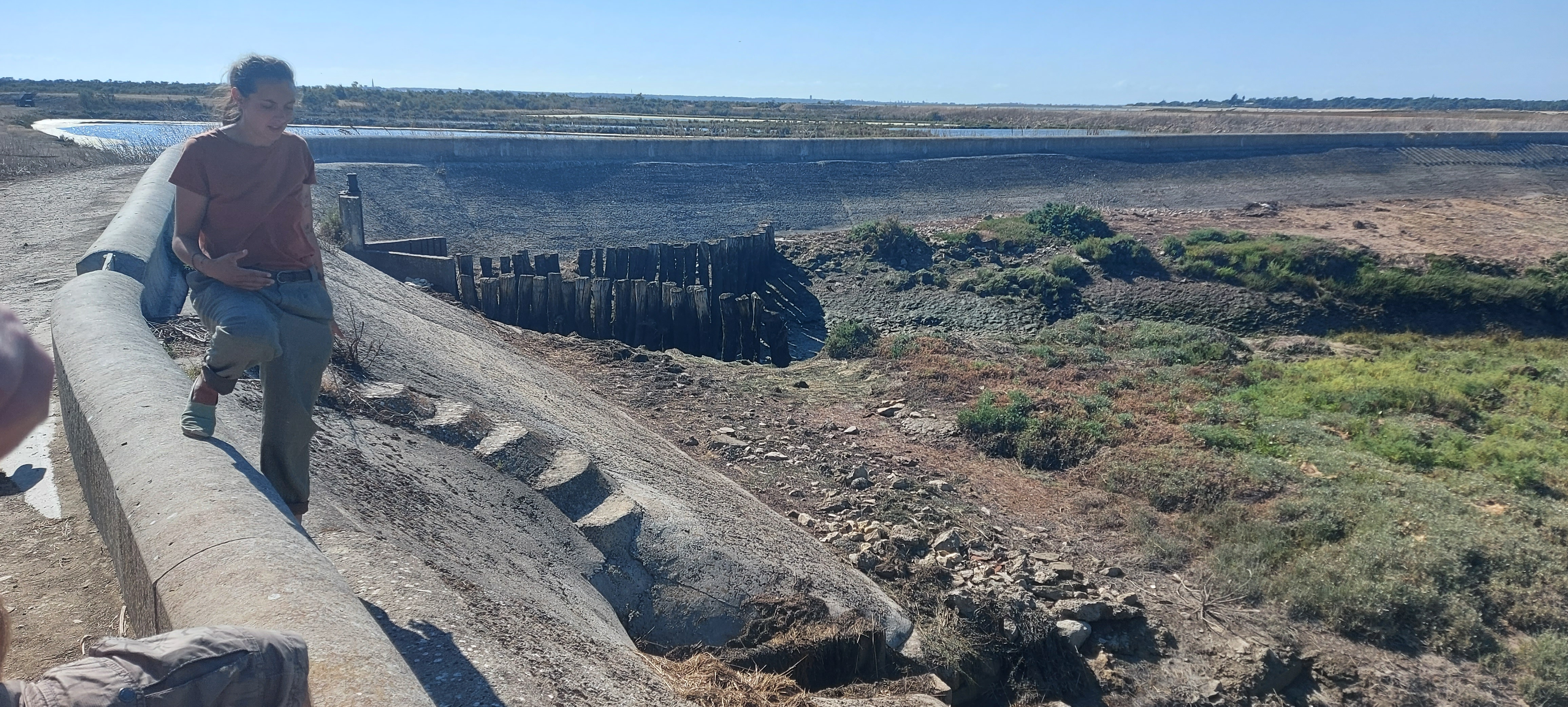 Photo n° 5 de l'avis de S.O fait le 01/09/2022 à 15:43