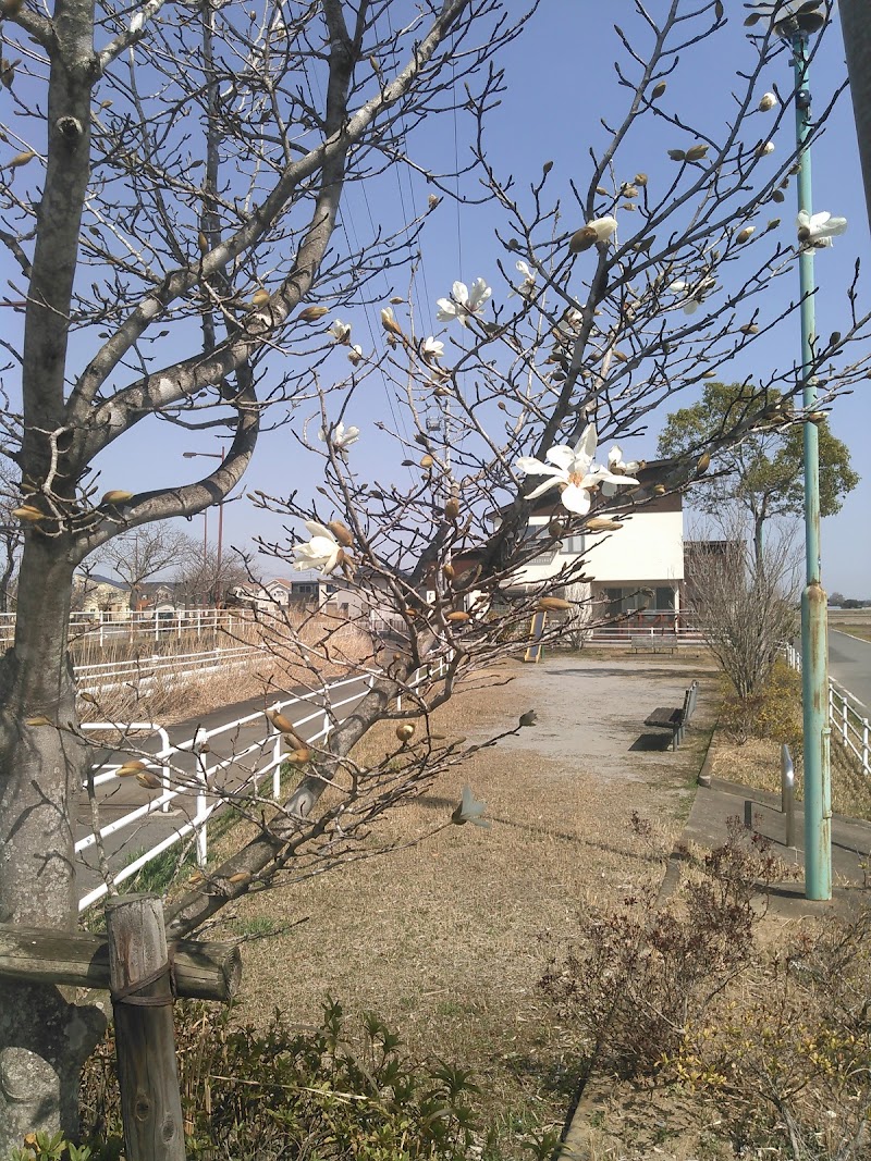 桜が丘第22幼児公園