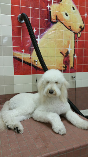 Pet Supply Store «Pet Food Express», reviews and photos, 9153 W Olympic Blvd, Beverly Hills, CA 90212, USA