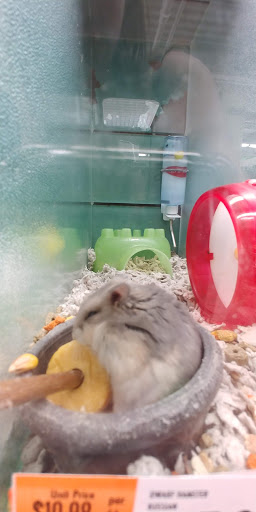 Pet Supply Store «Pet Supplies Plus», reviews and photos, 175 Memorial Ave, West Springfield, MA 01089, USA