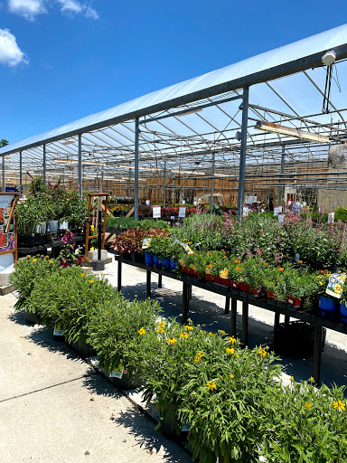 Garden Center «Stauffers of Kissel Hill Home & Garden Store», reviews and photos, 4450 Lincoln Hwy, York, PA 17406, USA