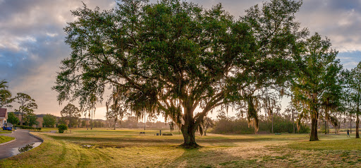 Golf Course «Wedgefield Golf Club», reviews and photos, 20550 Maxim Pkwy, Orlando, FL 32833, USA