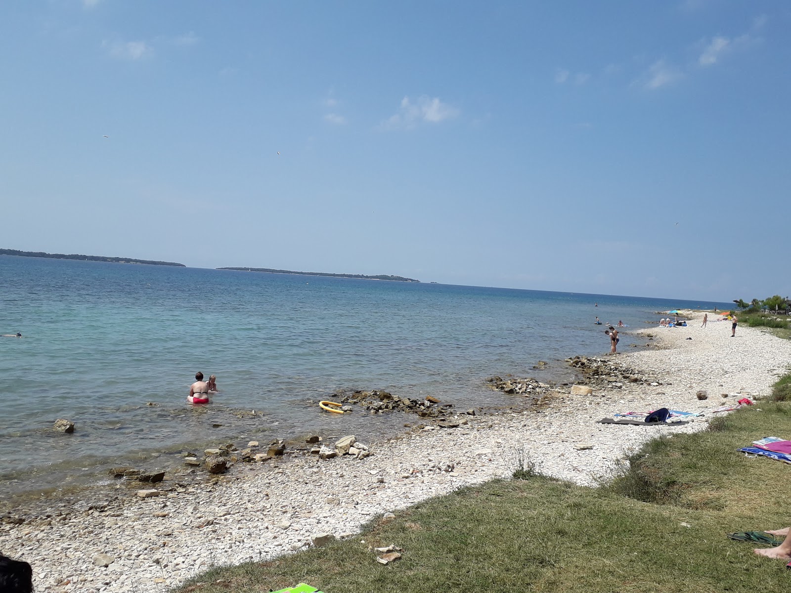 AC Pineta beach'in fotoğrafı ve yerleşim