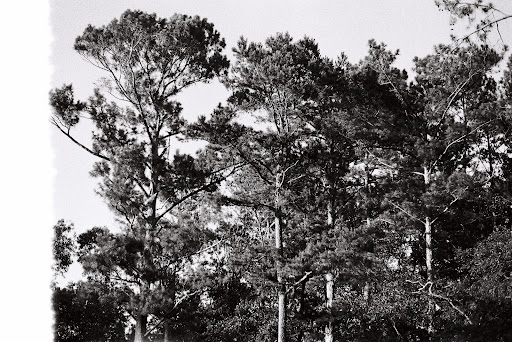 When I went they did have a 2 week wait for black and white film, but I got it exactly two weeks after I dropped it off so I appreciate the consistency this place provides 