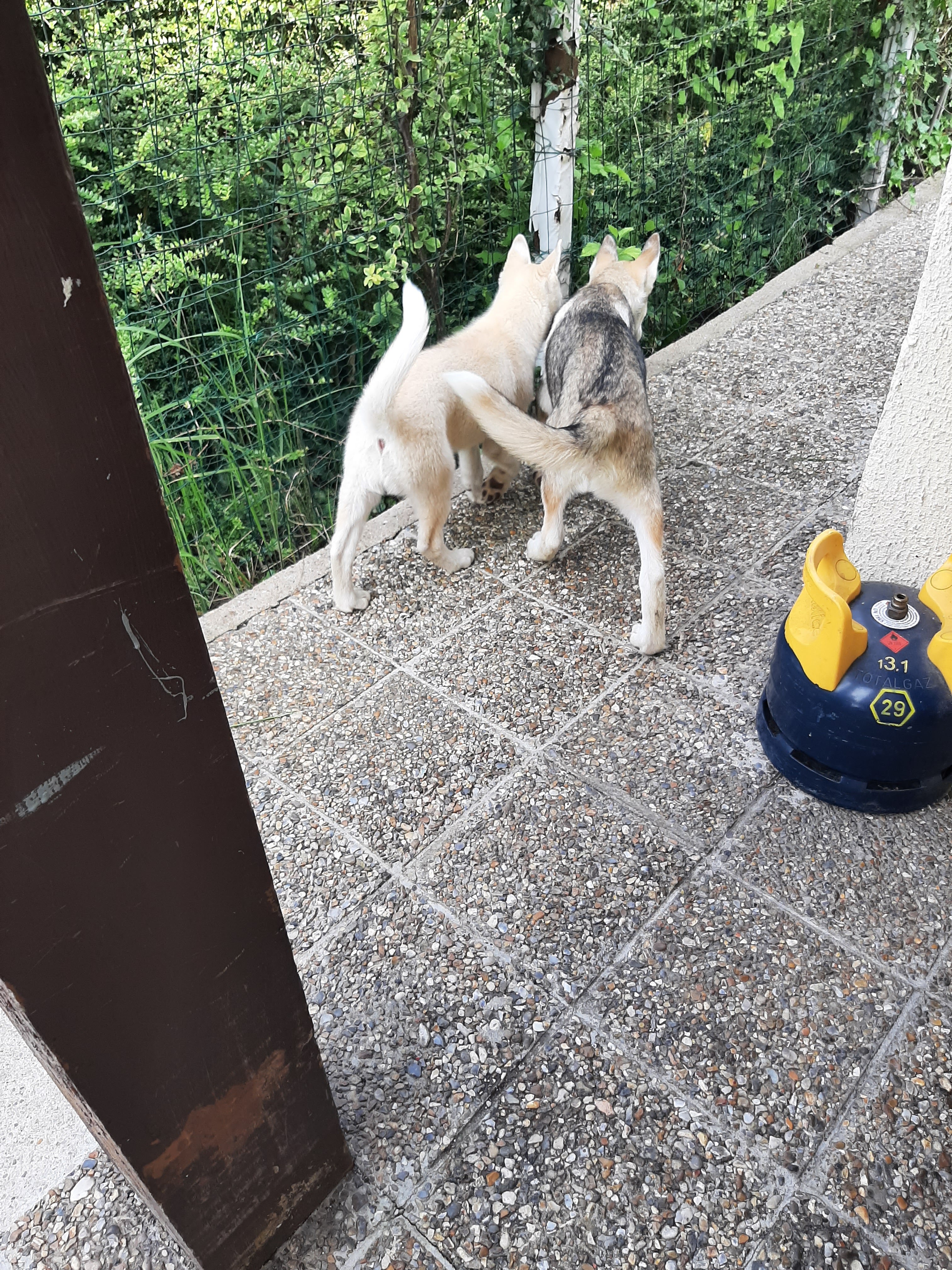 Photo n° 1 de l'avis de Ophelie.e fait le 24/07/2021 à 12:04