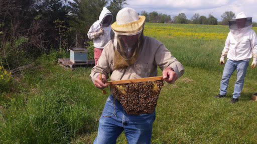 Winery «Old York Cellars», reviews and photos, 80 Old York Rd, Ringoes, NJ 08551, USA