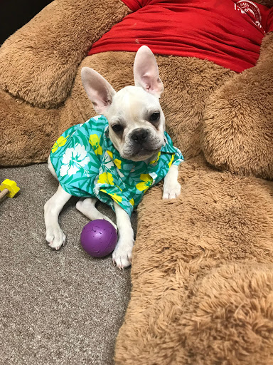 Insurance Agency «Crystal Martinez - State Farm Insurance Agent», reviews and photos