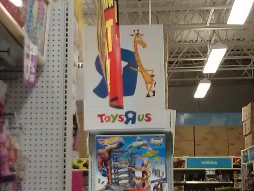 Toy Store «Toys