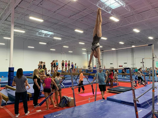 Gymnastics Center «Orlando Metro Gymnastics», reviews and photos, 4658 L B McLeod Rd, Orlando, FL 32811, USA