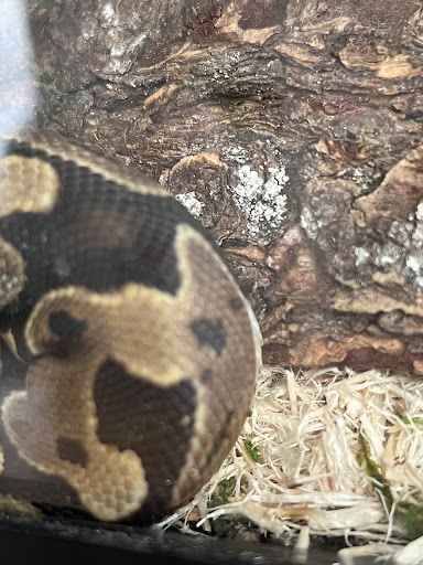 Pet Supply Store «PetSmart», reviews and photos, 3794 Easton-Nazareth Hwy, Easton, PA 18045, USA