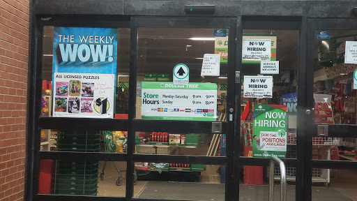 Dollar Store «Dollar Tree», reviews and photos, 1243 E Higgins Rd, Schaumburg, IL 60173, USA