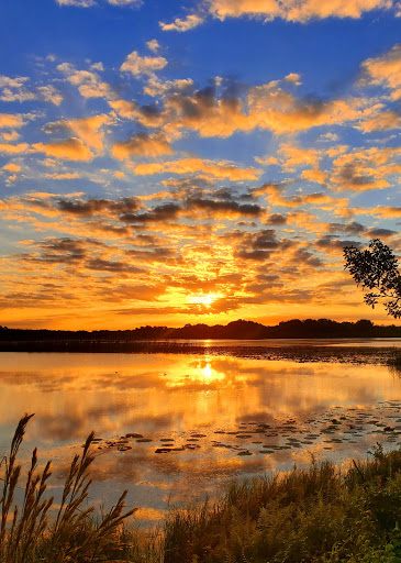 Nature Preserve «Marshall Hampton Reserve», reviews and photos, 3115 Thornhill Rd, Winter Haven, FL 33880, USA