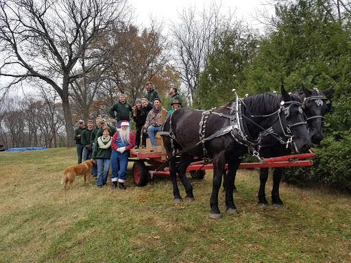 Christmas Ranch Tree Farm