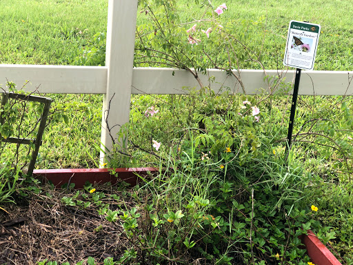 Park «Owl Park», reviews and photos, SW 26th St, Davie, FL 33325, USA