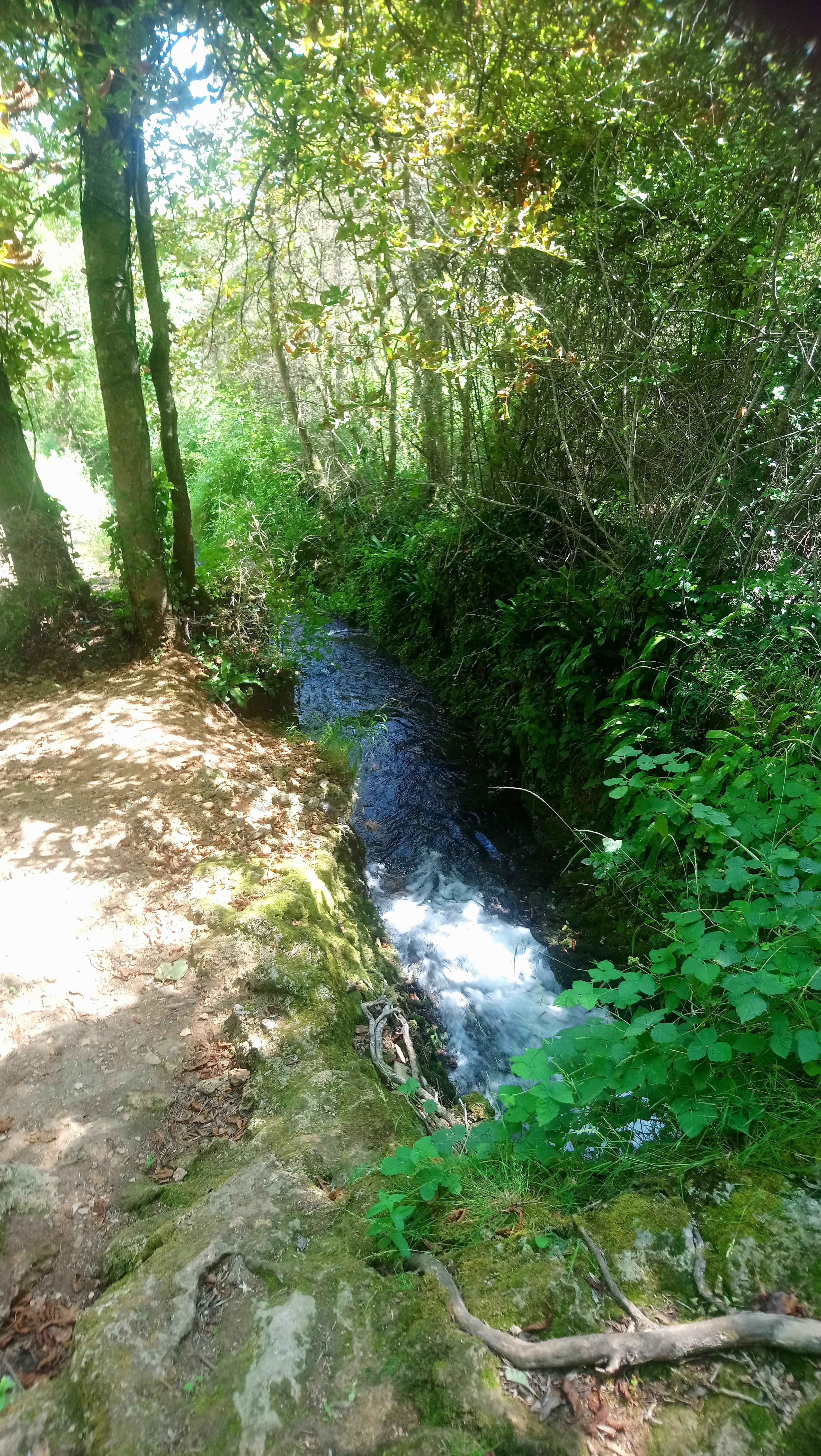 Photo n° 1 de l'avis de Christelle.i fait le 01/08/2019 à 10:23