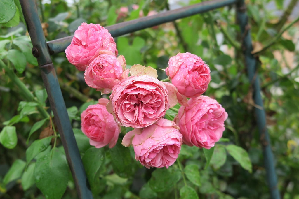 Photo n° 1 de l'avis de JooHee.A fait le 22/08/2018 à 13:50