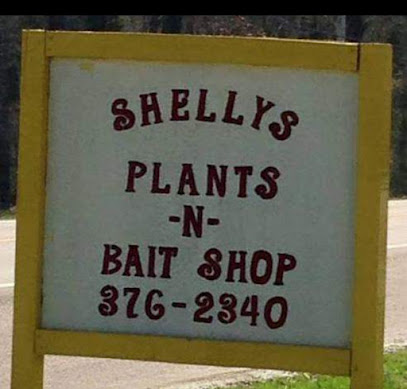 Shellys Plants