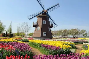 Dutch Garden image