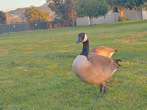 Pet Supply Store «Petco Animal Supplies», reviews and photos, 10663 Valley Blvd b, El Monte, CA 91731, USA