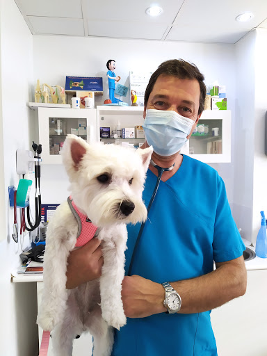 Clínica Veterinaria Mascotas en Llucmajor