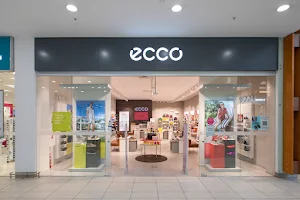 ECCO Mega image