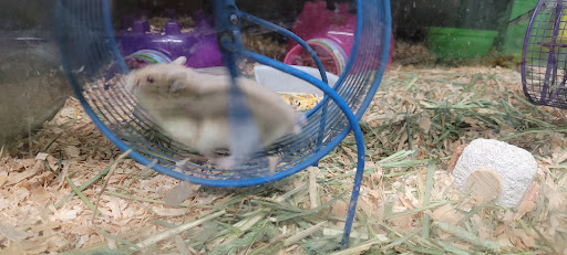 Animal Feed Store «All Pet Feed & Tack», reviews and photos, 25598 E Baseline St, San Bernardino, CA 92410, USA