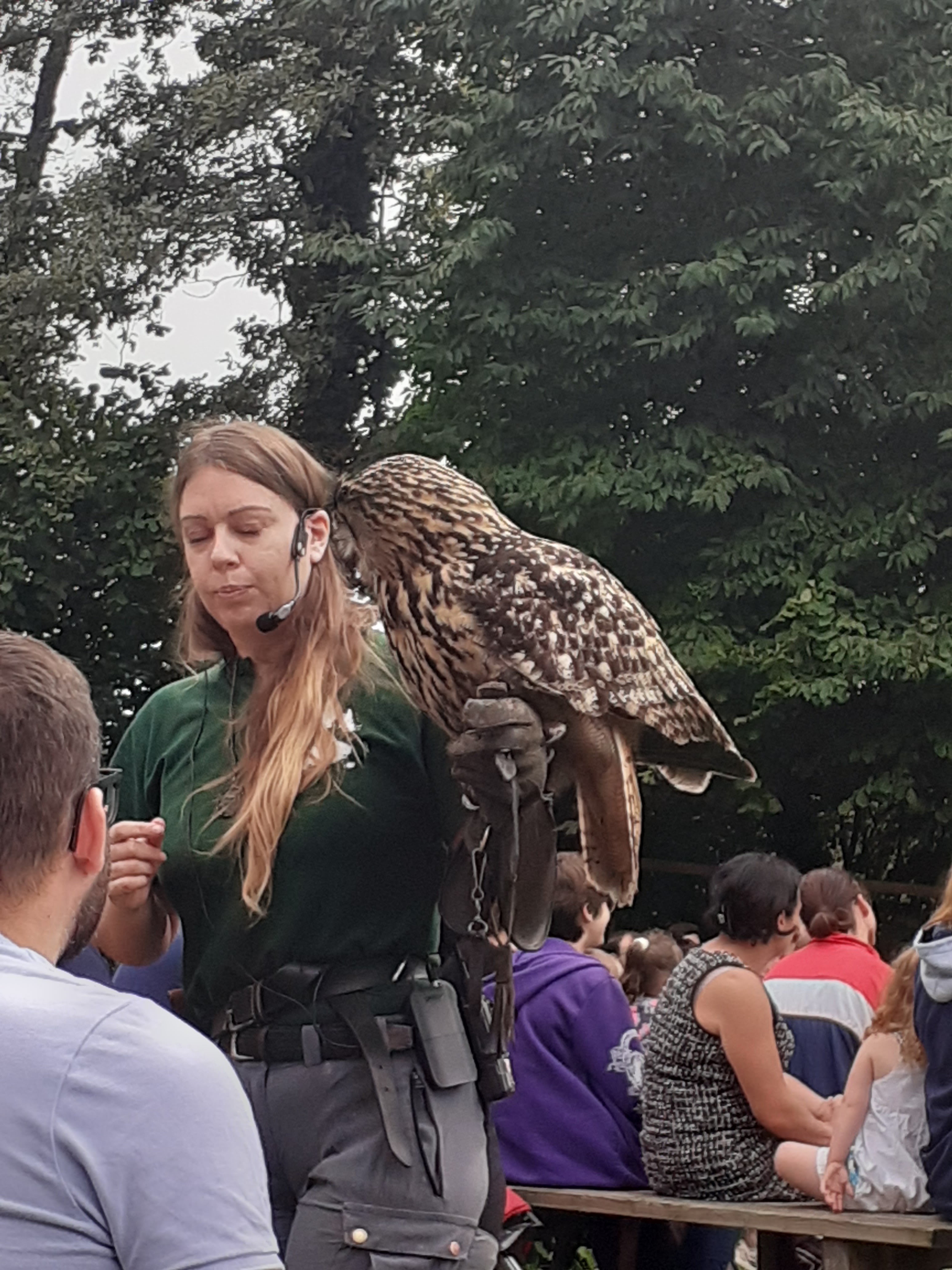 Photo n° 4 de l'avis de Katia.o fait le 13/08/2023 à 16:39