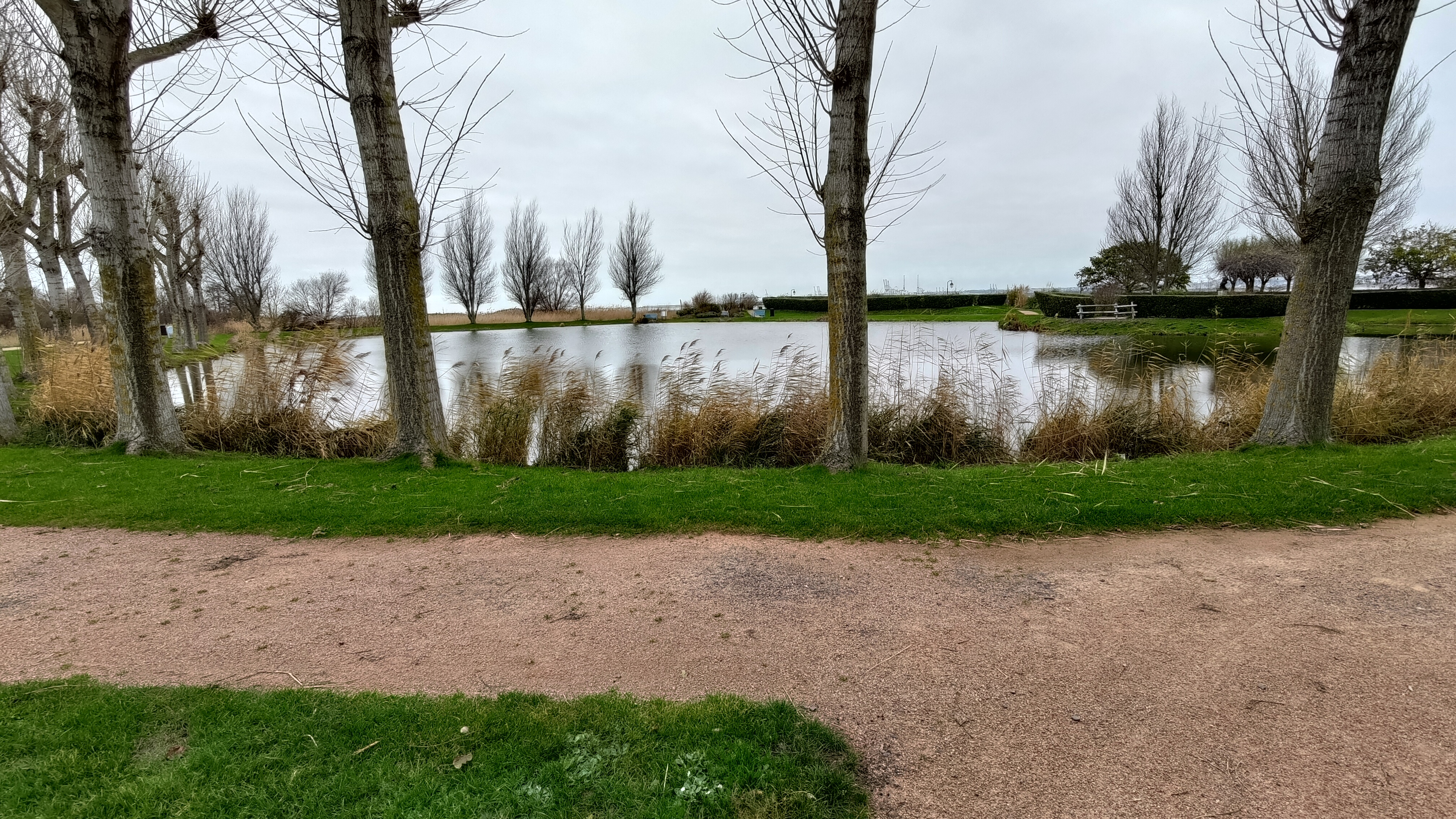 Photo n° 35 de l'avis de jean-philippe.a fait le 24/12/2021 à 06:20