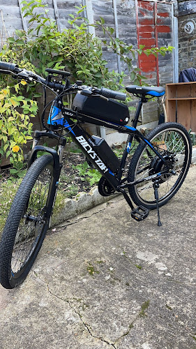 Reviews of Steck E-Bike in London - Bicycle store