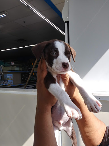 Pet Supply Store «Pets Plus - Bensalem», reviews and photos, 1336 Bristol Pike, Bensalem, PA 19020, USA