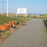 Photo n°1 de l'avis de Annette.l fait le 24/10/2017 à 16:07 sur le  Domäne Loog à Juist