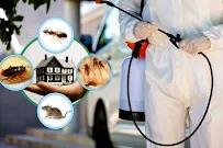 Guardian Pest And Termite - Car repair in Indian Land, SC, Rock Hill - Rated 5.0/5