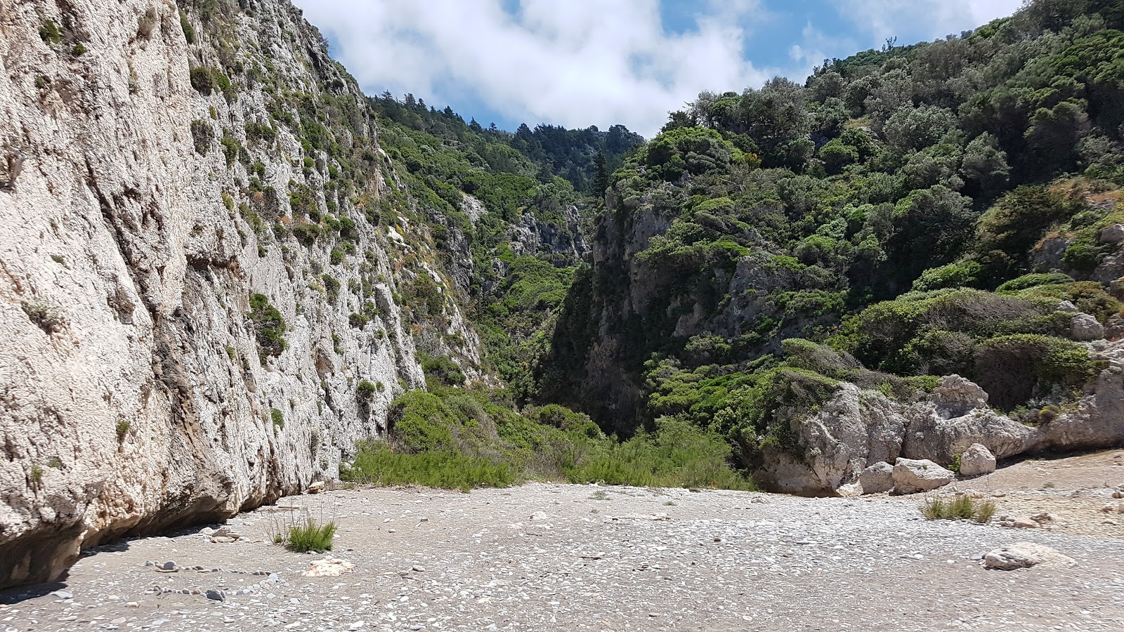 Mikro Seitani beach'in fotoğrafı ve güzel manzarası