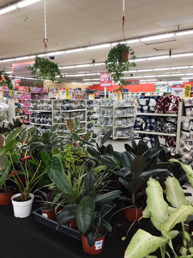 Discount Store «Kmart», reviews and photos, 1155 Veterans Blvd, Redwood City, CA 94063, USA