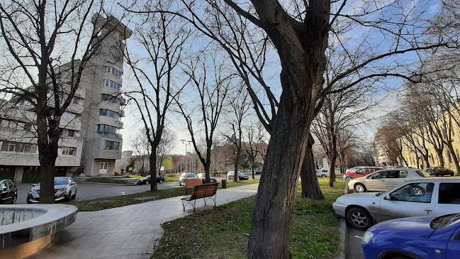 Colegiul Național "Gheorghe Munteanu Murgoci" Brăila - Școală