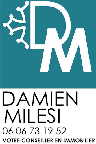 Agence immobilière MILESI Damien Villetelle