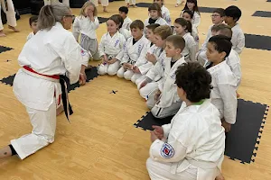 US Budokai Karate Association image