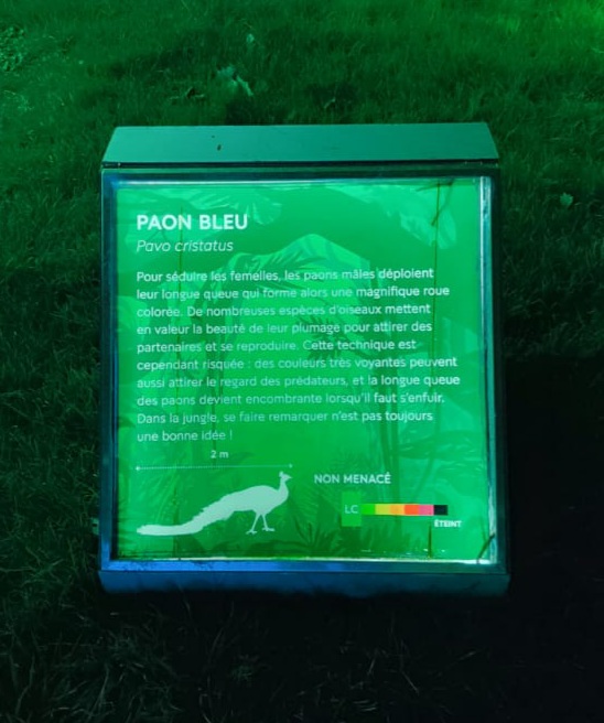 Photo n° 25 de l'avis de Lili.M fait le 25/12/2023 à 12:48