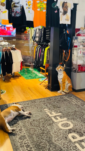 Thrift Store «Lucky Dog Clothing», reviews and photos, 8201 Greenwood Ave N, Seattle, WA 98103, USA