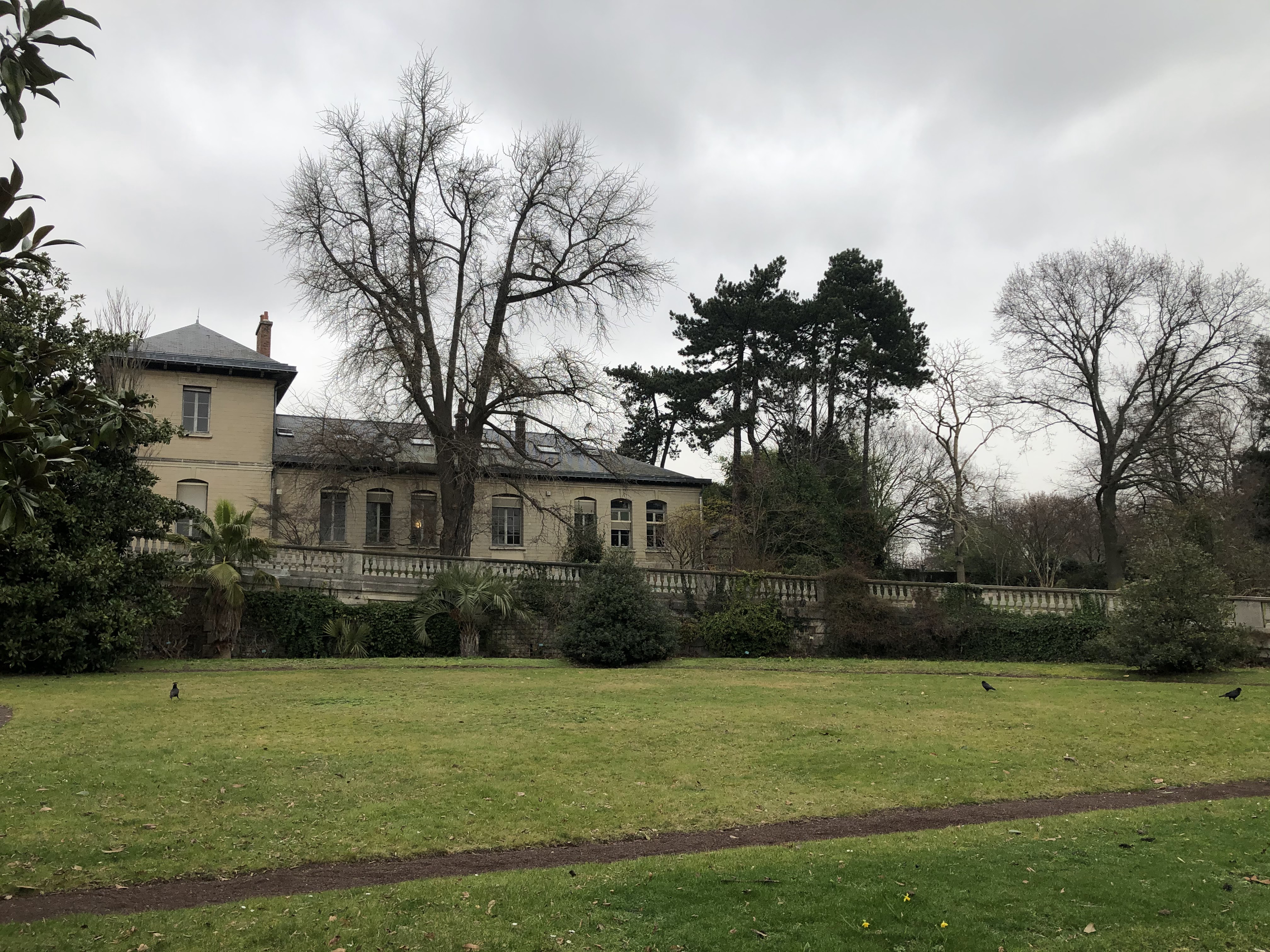 Photo n° 28 de l'avis de Halim.o fait le 22/02/2021 à 13:44
