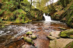 Mullinhassig Wood & Waterfalls, Aghavrin image
