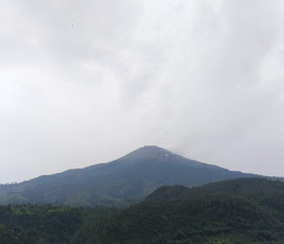 Campgrounds Tegal Klopo, photo
