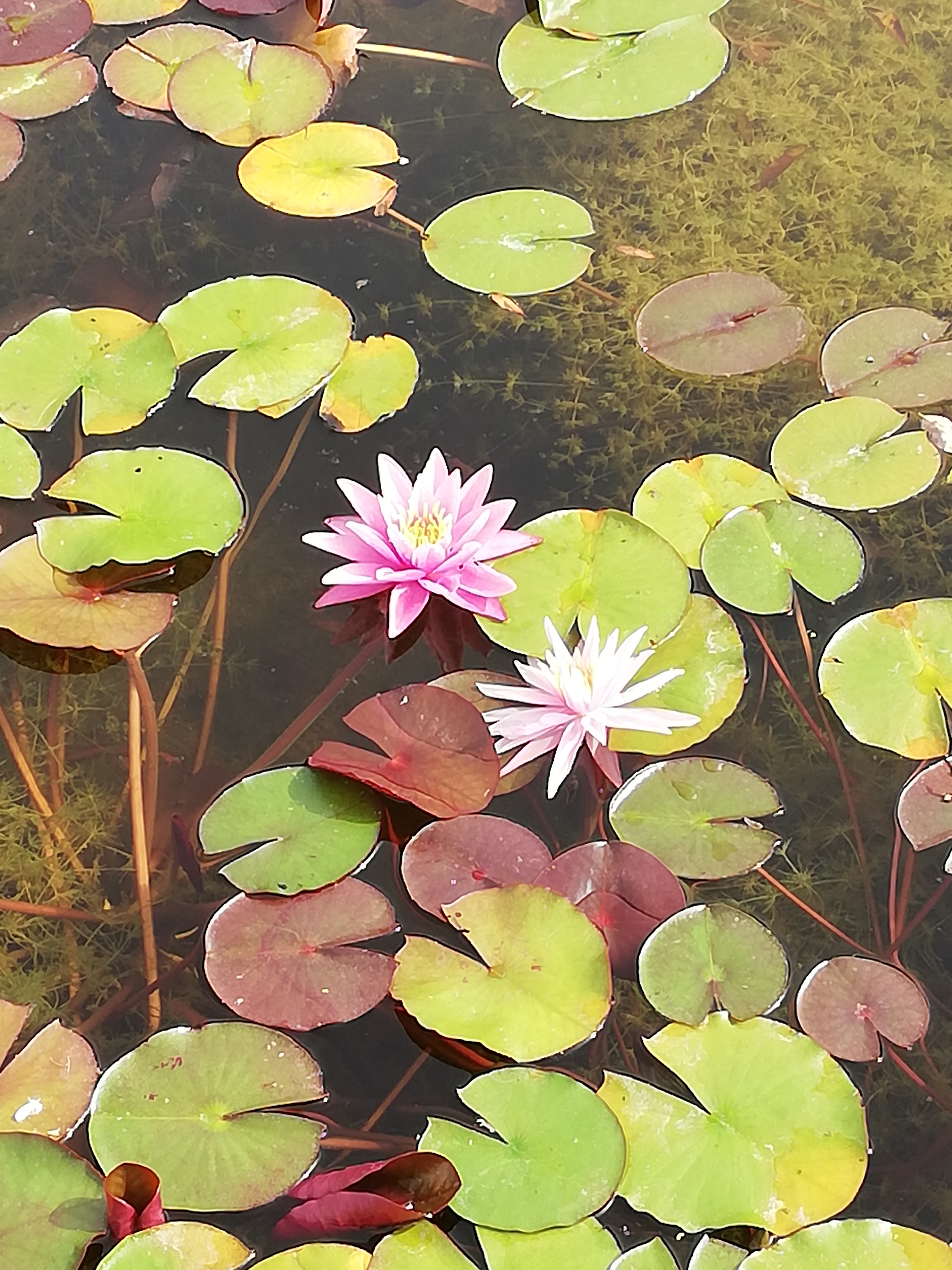 Photo n° 5 de l'avis de Sandrine.i fait le 05/09/2023 à 15:38