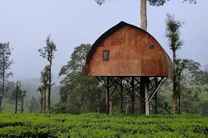 Priyadarshini Tea Environs image